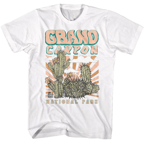 National Parks - Grand Canyon Cactus Boyfriend Tee - HYPER iCONiC.