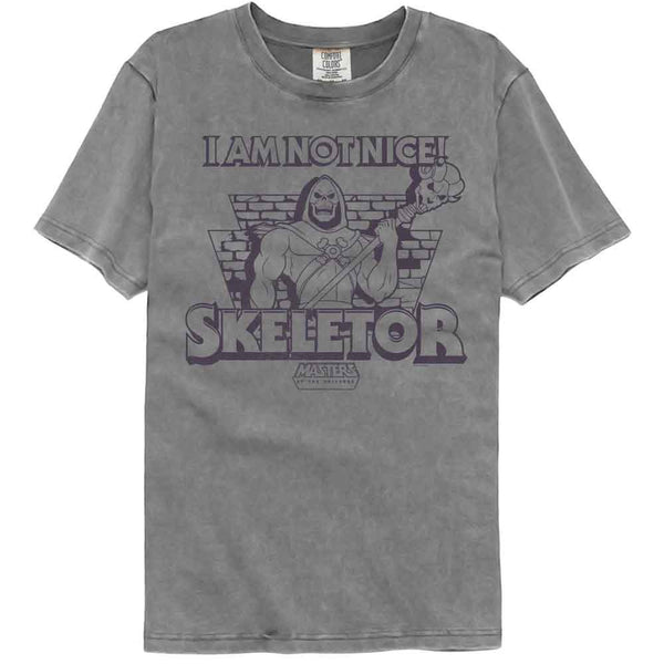 Masters Of The Universe - MOTU Not Nice Skeletor Comfort Color T-Shirt
