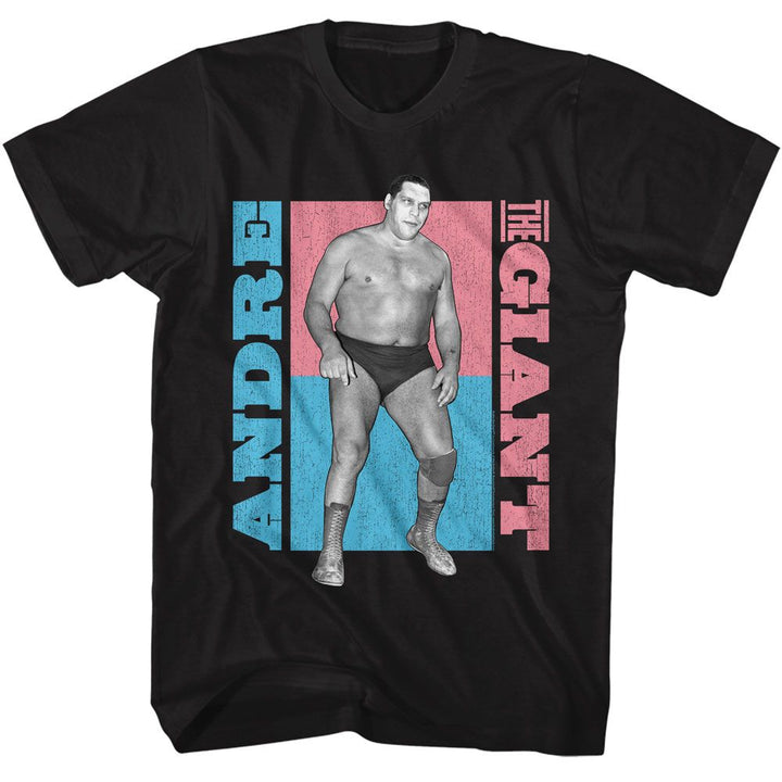 Andre The Giant - ATG Color Blocks Boyfriend Tee - HYPER iCONiC.
