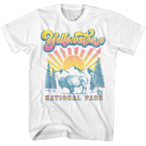 National Parks - Buffalo With Gradient Sun Boyfriend Tee - HYPER iCONiC.