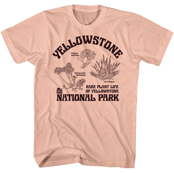National Parks - Rare Plants Yellowstone T-Shirt - HYPER iCONiC.