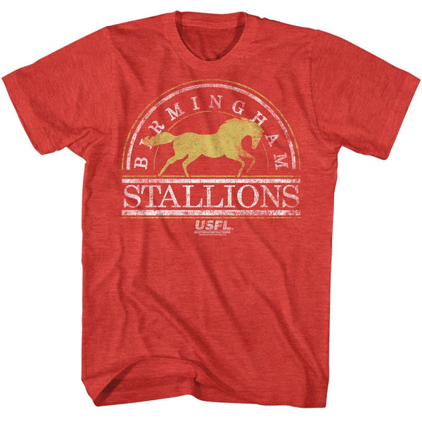USFL - Bham Stallions2 T-Shirt - HYPER iCONiC.